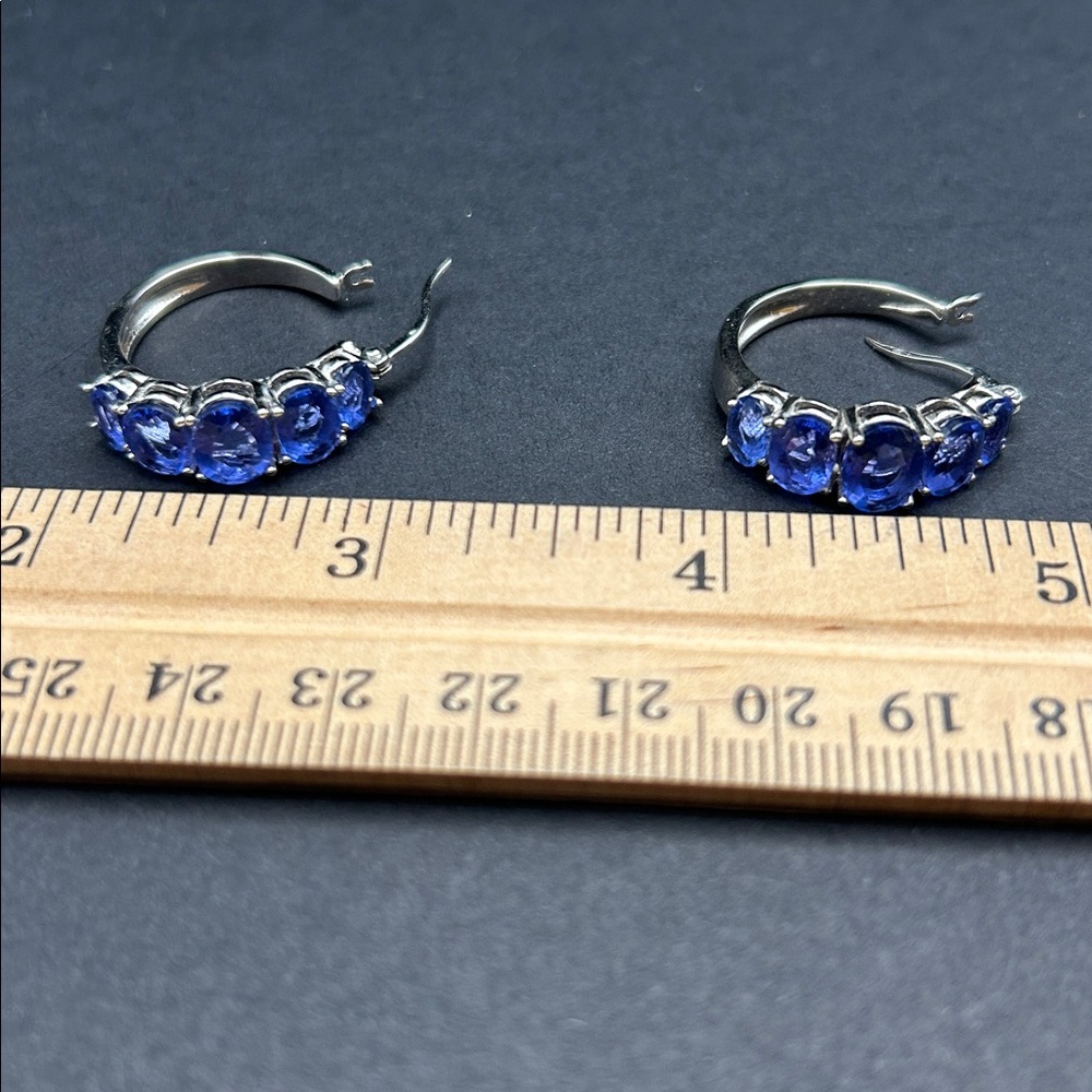 Hoop Earrings - Picture 8 of 9